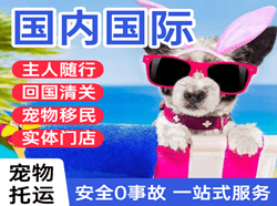 承德国际宠物托运 【国